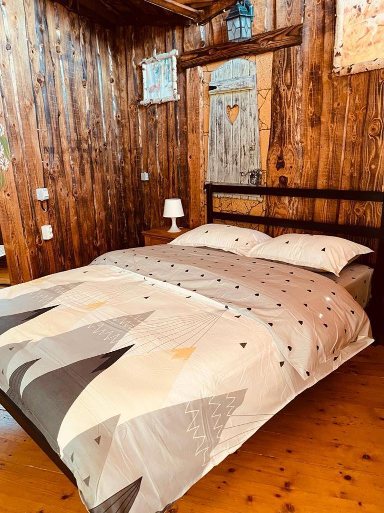 Cabana Vanatorului 8 Sohodol  Экстерьер фото