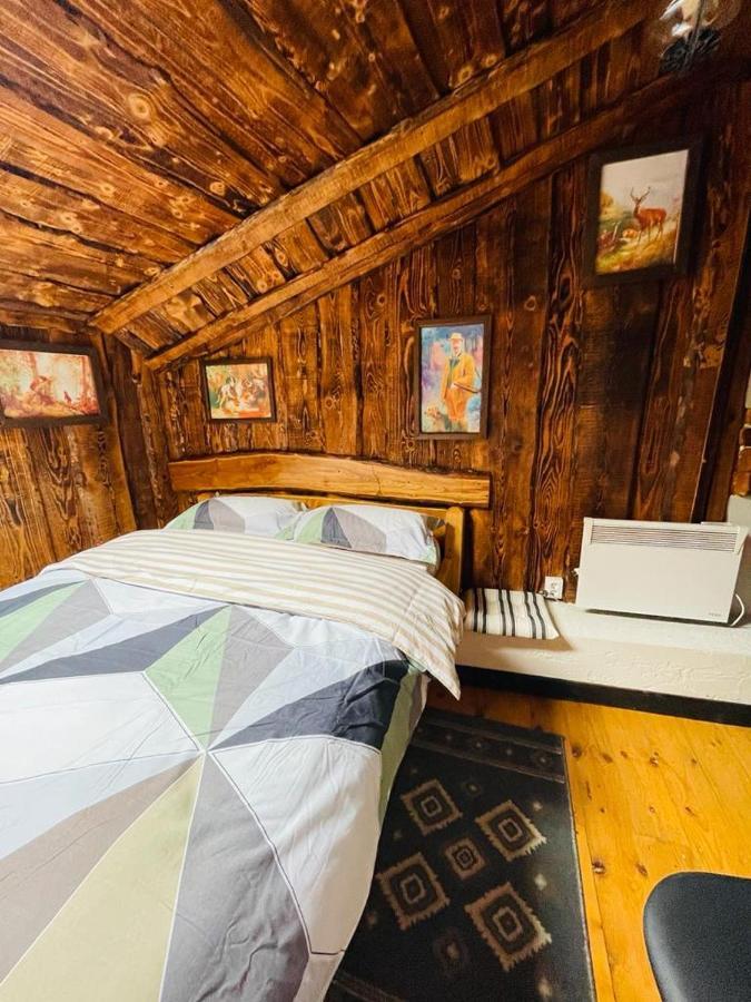 Cabana Vanatorului 8 Sohodol  Экстерьер фото