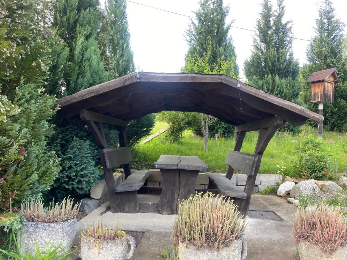 Cabana Vanatorului 8 Sohodol  Экстерьер фото